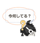 ボーダーコリー(BK＆W) - msg 1（個別スタンプ：12）