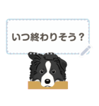 ボーダーコリー(BK＆W) - msg 1（個別スタンプ：18）