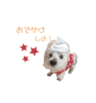 ウェスティのりくちぇるです！（個別スタンプ：2）