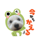 ウェスティのりくちぇるです！（個別スタンプ：4）