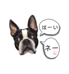気付けば覚えちゃってる楽チン韓国語（個別スタンプ：2）