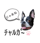 気付けば覚えちゃってる楽チン韓国語（個別スタンプ：7）