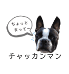 気付けば覚えちゃってる楽チン韓国語（個別スタンプ：20）
