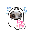 うちの可愛い松子ちゃん（個別スタンプ：8）