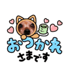 うちの可愛い松子ちゃん（個別スタンプ：13）