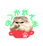 カフェオニさんのご挨拶❤️（個別スタンプ：2）