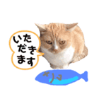 カフェオニさんのご挨拶❤️（個別スタンプ：3）