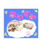 カフェオニさんのご挨拶❤️（個別スタンプ：4）