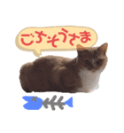 カフェオニさんのご挨拶❤️（個別スタンプ：5）