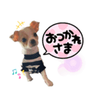 ゆぅゆぅゆぅんちのなるとくん（個別スタンプ：2）