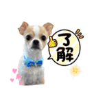ゆぅゆぅゆぅんちのなるとくん（個別スタンプ：5）