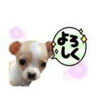 ゆぅゆぅゆぅんちのなるとくん（個別スタンプ：6）