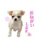 ゆぅゆぅゆぅんちのなるとくん（個別スタンプ：9）