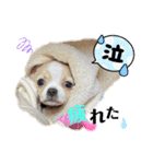 ゆぅゆぅゆぅんちのなるとくん（個別スタンプ：10）