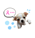 ゆぅゆぅゆぅんちのなるとくん（個別スタンプ：11）
