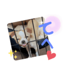 ゆぅゆぅゆぅんちのなるとくん（個別スタンプ：12）