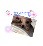ゆぅゆぅゆぅんちのなるとくん（個別スタンプ：15）