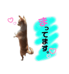 ゆぅゆぅゆぅんちのなるとくん（個別スタンプ：20）