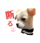 ゆぅゆぅゆぅんちのなるとくん（個別スタンプ：21）
