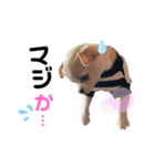 ゆぅゆぅゆぅんちのなるとくん（個別スタンプ：23）