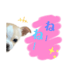 ゆぅゆぅゆぅんちのなるとくん（個別スタンプ：30）