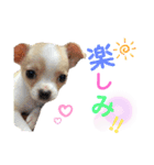 ゆぅゆぅゆぅんちのなるとくん（個別スタンプ：34）