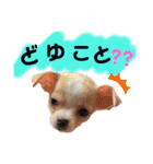 ゆぅゆぅゆぅんちのなるとくん（個別スタンプ：37）