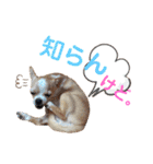 ゆぅゆぅゆぅんちのなるとくん（個別スタンプ：38）