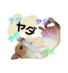 ゆぅゆぅゆぅんちのなるとくん（個別スタンプ：39）