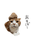 我が家のわんにゃん日常会話2（個別スタンプ：14）