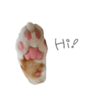 我が家のわんにゃん日常会話2（個別スタンプ：22）