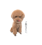 くきお。（個別スタンプ：7）