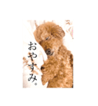 くきお。（個別スタンプ：9）