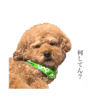 くきお。（個別スタンプ：14）