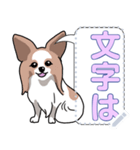 犬(パピヨン)セリフ個別変更可能136（個別スタンプ：1）