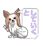 犬(パピヨン)セリフ個別変更可能136（個別スタンプ：7）