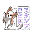 犬(パピヨン)セリフ個別変更可能136（個別スタンプ：11）