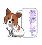 犬(パピヨン)セリフ個別変更可能136（個別スタンプ：14）