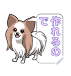 犬(パピヨン)セリフ個別変更可能136（個別スタンプ：17）