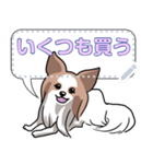 犬(パピヨン)セリフ個別変更可能136（個別スタンプ：21）