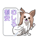 犬(パピヨン)セリフ個別変更可能136（個別スタンプ：23）