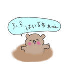 ちゃぐまさん（個別スタンプ：11）