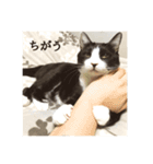 まめたろうその2（個別スタンプ：5）
