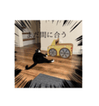 まめたろうその2（個別スタンプ：12）