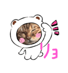 あいさつ/返事（個別スタンプ：4）