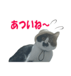 木更津猫チョビすけ_04（個別スタンプ：24）