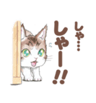 猫さんスタンプ（色鉛筆イラスト）（個別スタンプ：12）