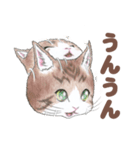 猫さんスタンプ（色鉛筆イラスト）（個別スタンプ：14）