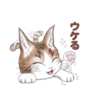 猫さんスタンプ（色鉛筆イラスト）（個別スタンプ：23）