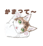 猫さんスタンプ（色鉛筆イラスト）（個別スタンプ：26）